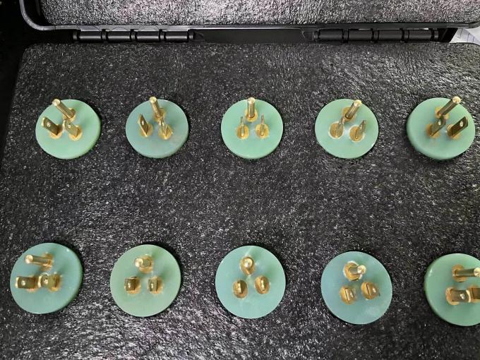 种子发芽机使用全攻略，轻松搞定家庭种植