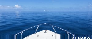 闪烁相机分辨力测试模体 | Pro-NM Resolution | SPECT测试 - TESAING