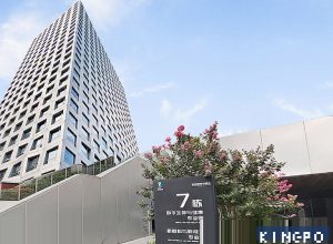 血压设备电外科干扰防护测试装置 | KINGPO0234-04P – TESAING精邦机械